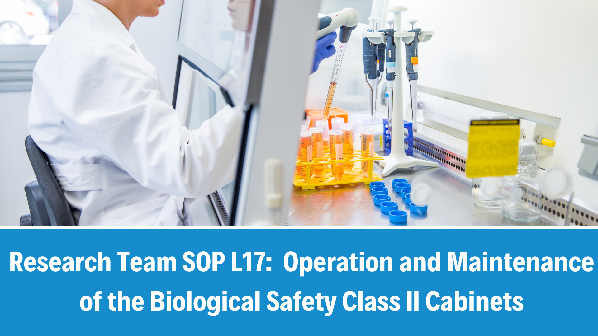 Research Team SOP L17: Operation and Maintenance of the Biological Safety Class II Cabinets, V5.0, 02 April 2025