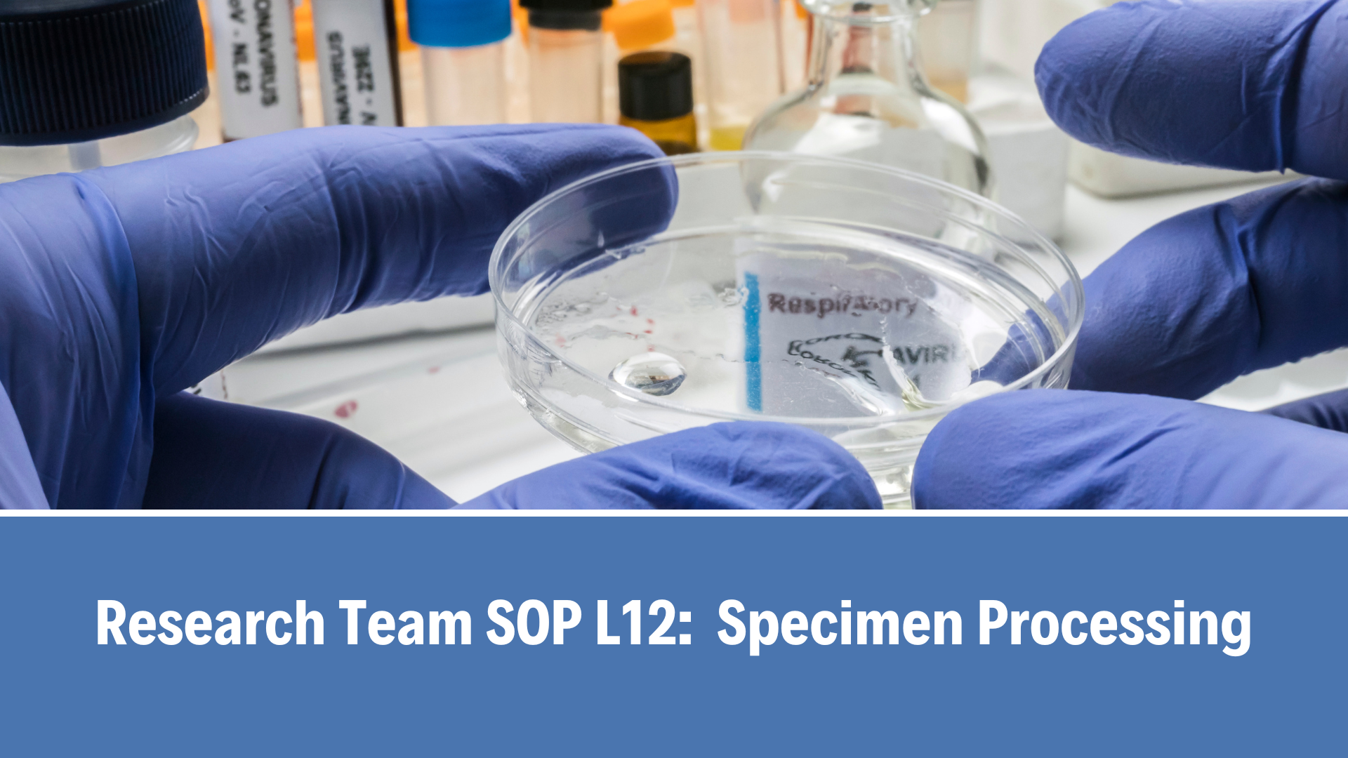 Research Team SOP L12:  Specimen Processing, V5.0, 12 Jan 2026
