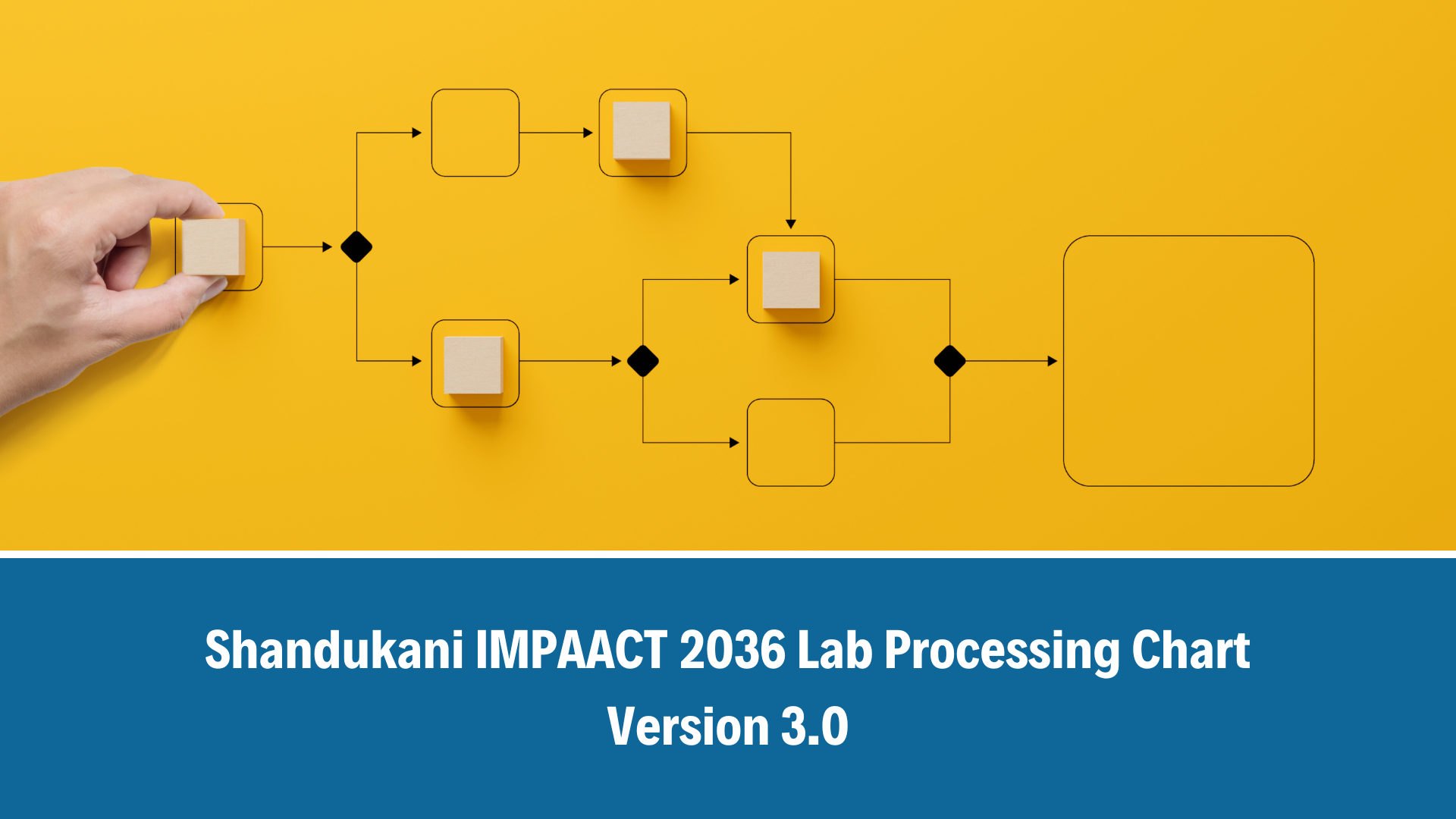 IMPAACT 2036 Lab Processing Chart V3.0_12 May 2026